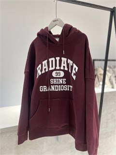 Худи ФЛИС (9304) 9304